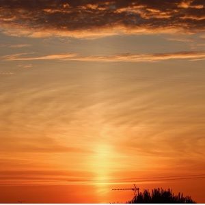 Meet your Posher, Jules